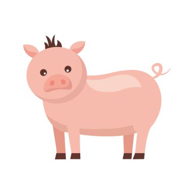 domuz çiftlik hayvanı