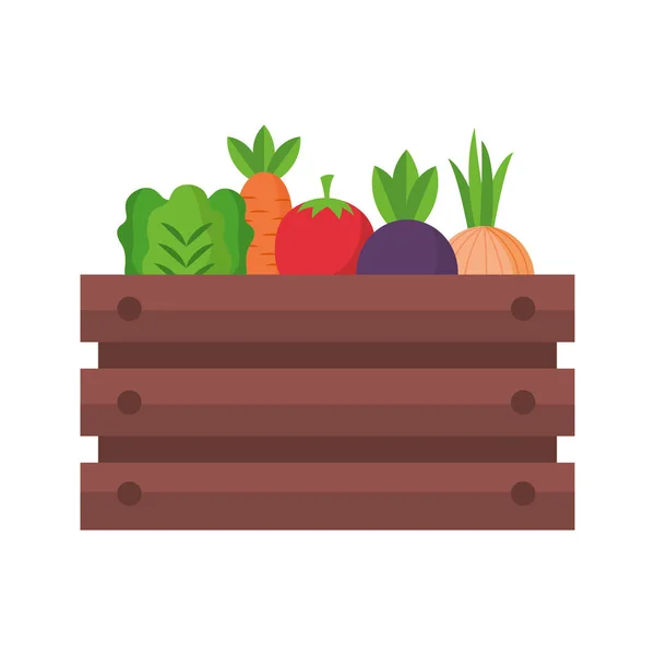 Basket with vegetable — Stock Vector