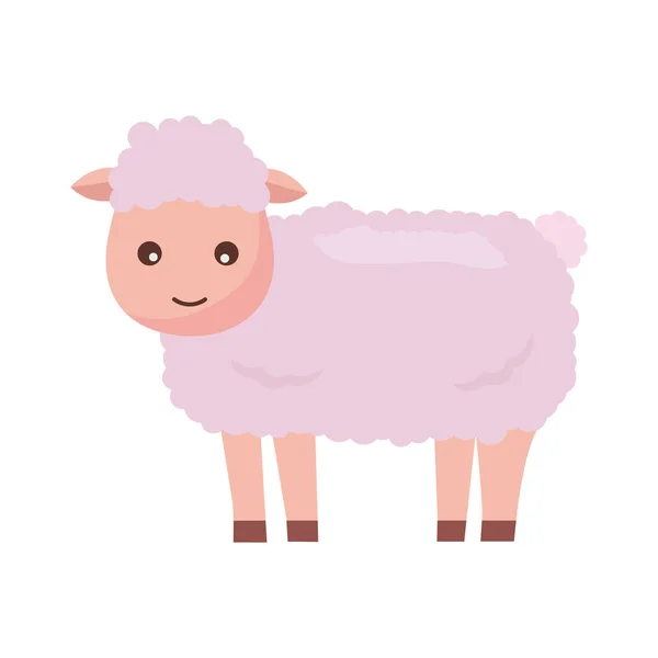 Sheep farm animal — Stock Vector
