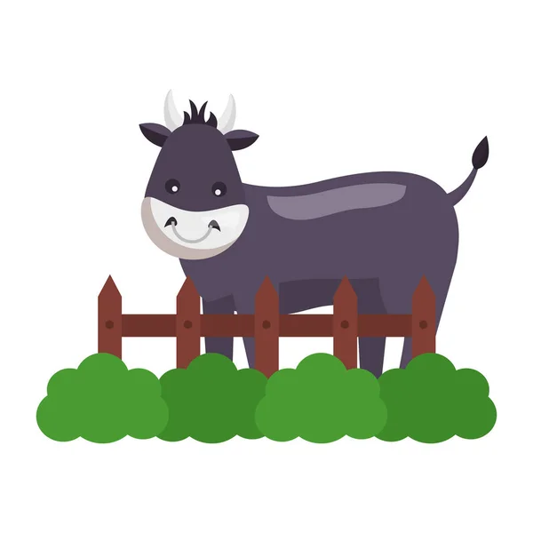 Bull plot farma — Stockový vektor