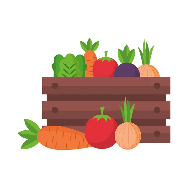 Vegetables on box — Stock Vector