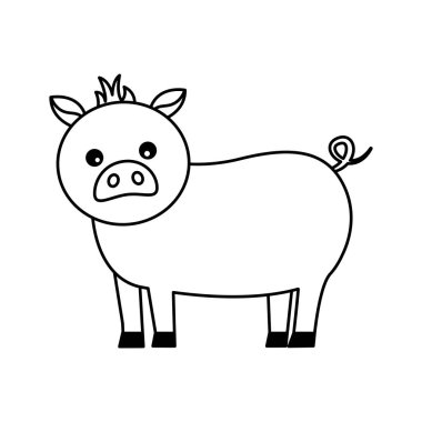 domuz çiftlik hayvanı