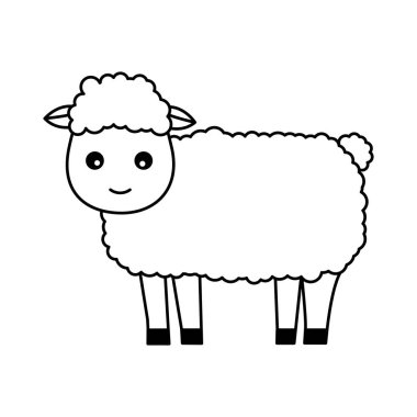 koyun çiftliği hayvanı