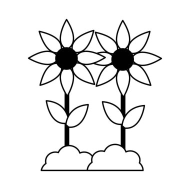 çiçekler doğa dekorasyon