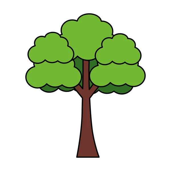 Ağaç ormanı doğası — Stok Vektör