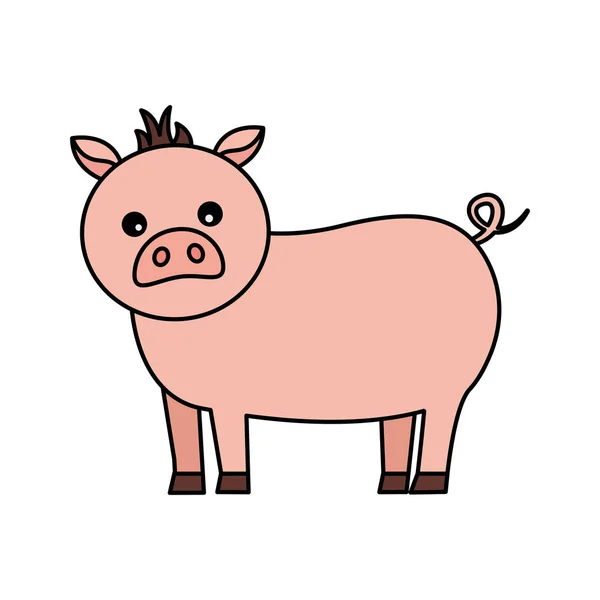 猪的农场动物 — 图库矢量图片