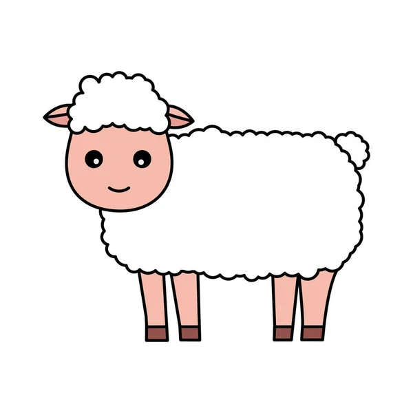 Sheep farm animal — Stock Vector