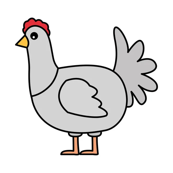 Chicken farm animal — Stock Vector