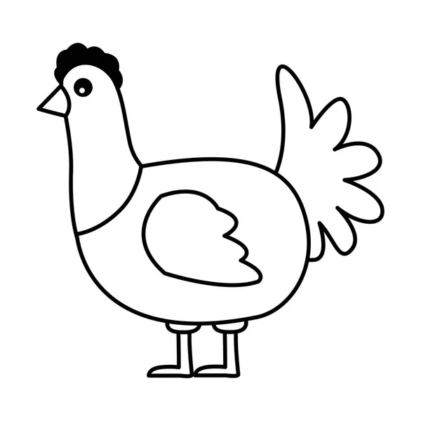 Poulets animaux de ferme — Image vectorielle