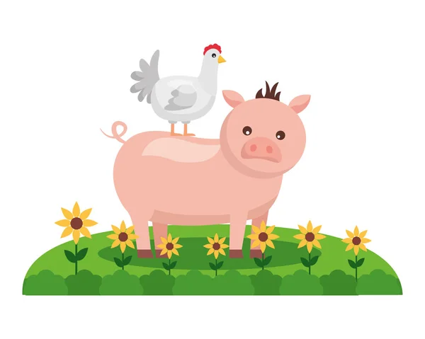 Świnia hen rolnicze świeży — Wektor stockowy