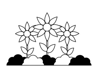 çiçek dikim Bahçe