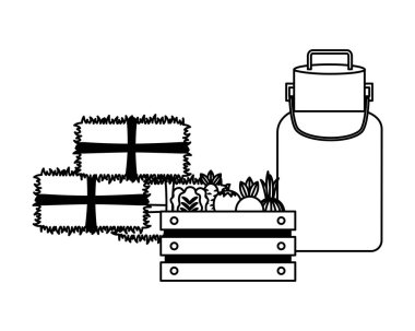 sebze balya saman ve süt olabilir