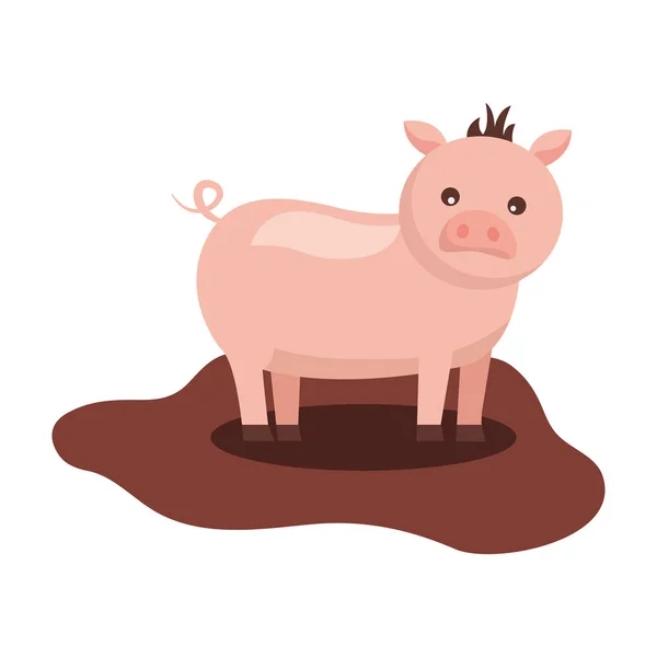 Cute pig animal domestic — Stock Vector