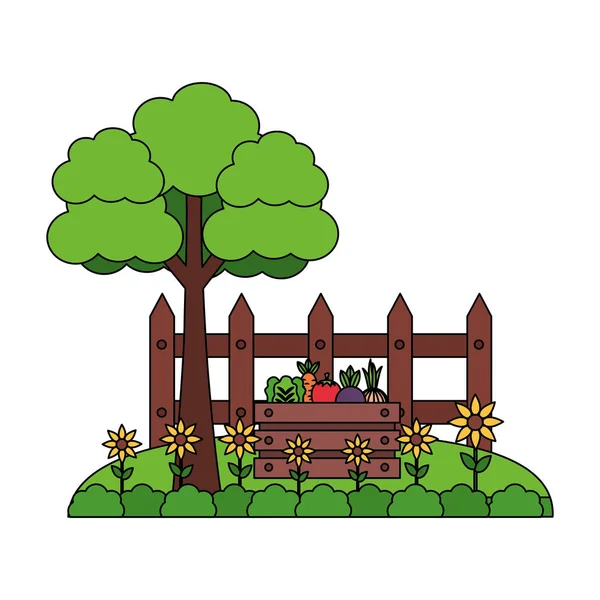 Strom zeleniny plot farma — Stockový vektor