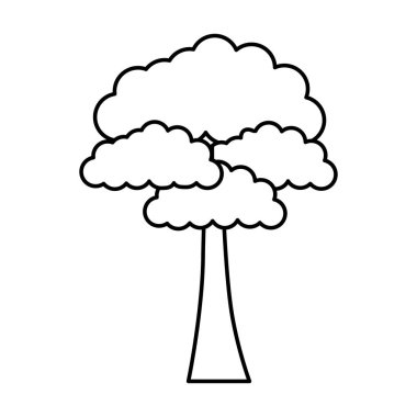 Ağaç ormanı doğası