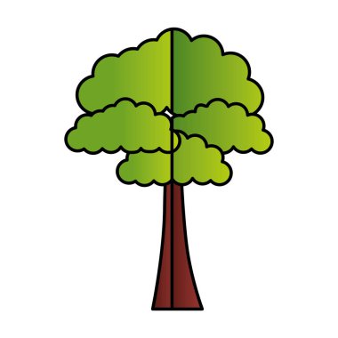 Ağaç ormanı doğası