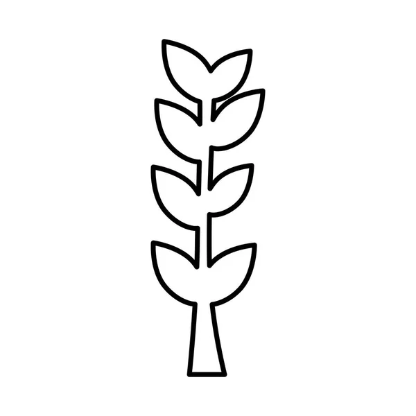 枝条叶子轮廓 — 图库矢量图片