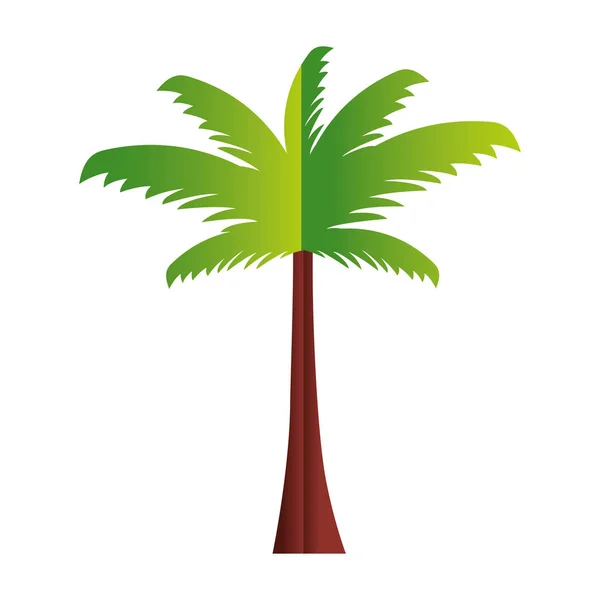 Palm tree papír origami — Stock Vector