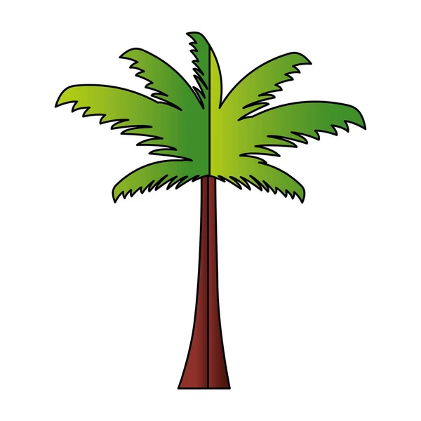 Palm tree papír origami — Stock Vector