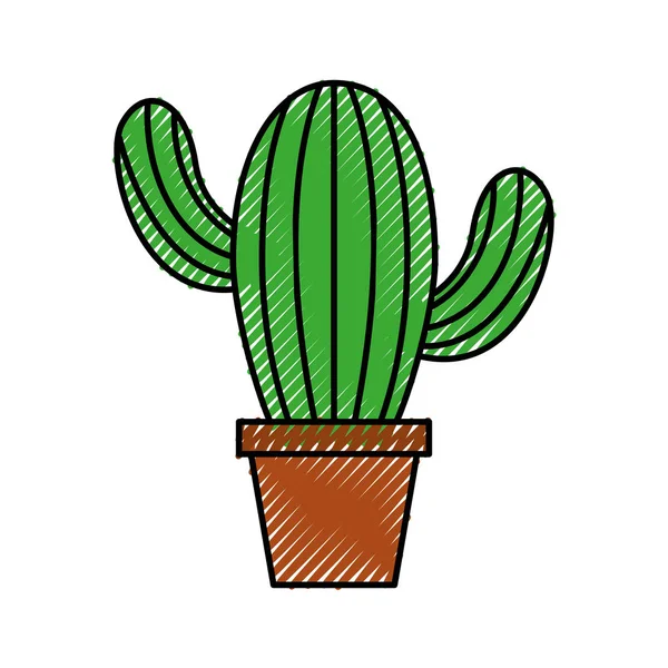 Pot de cactus décoration végétale naturelle intérieur — Image vectorielle