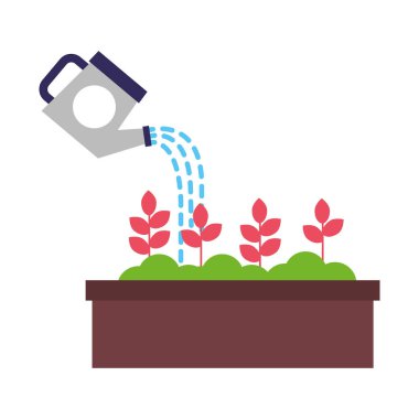 Sulama tencerede su çiçekler dökme olabilir