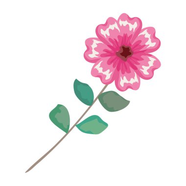 simge ile çiçek yaprakları