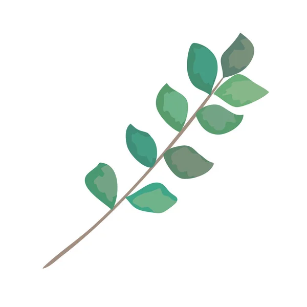 Rama con icono de hojas — Vector de stock