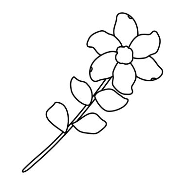 simge ile çiçek yaprakları
