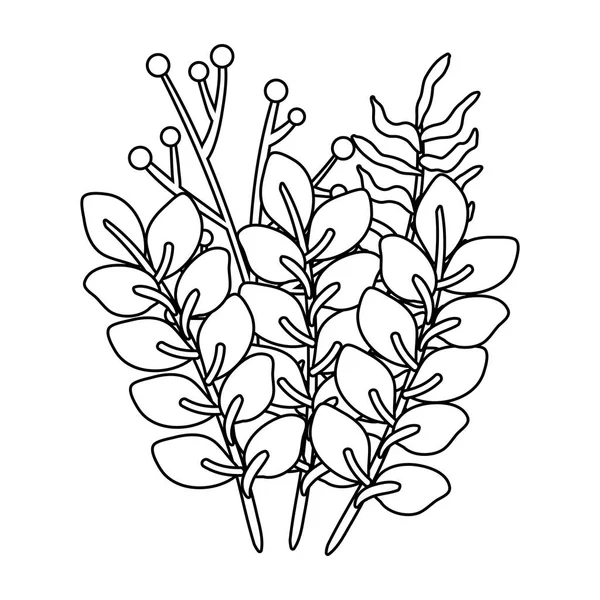 分枝与叶花卉装饰 — 图库矢量图片