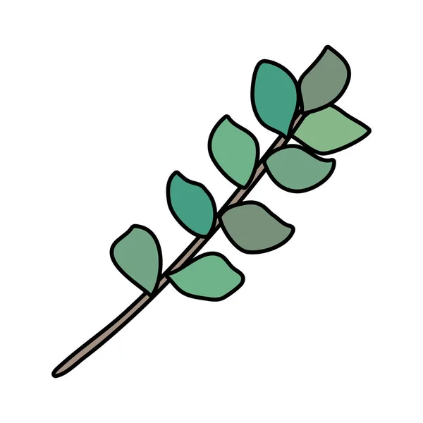 枝の葉のアイコン — ストックベクタ