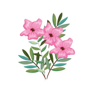 Güzel çiçekler ve yapraklar.