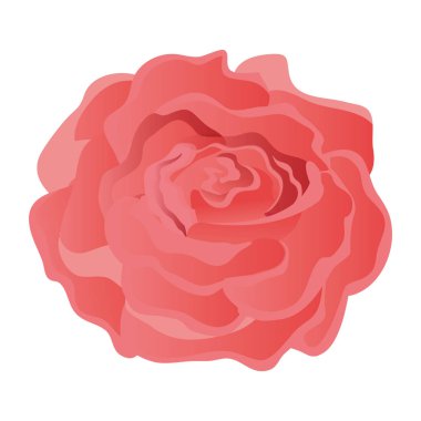 Güzellik gül izole simgesi