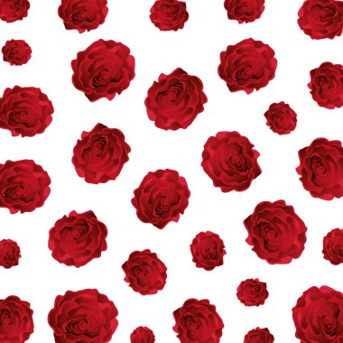 Güzellik gül desen arka plan