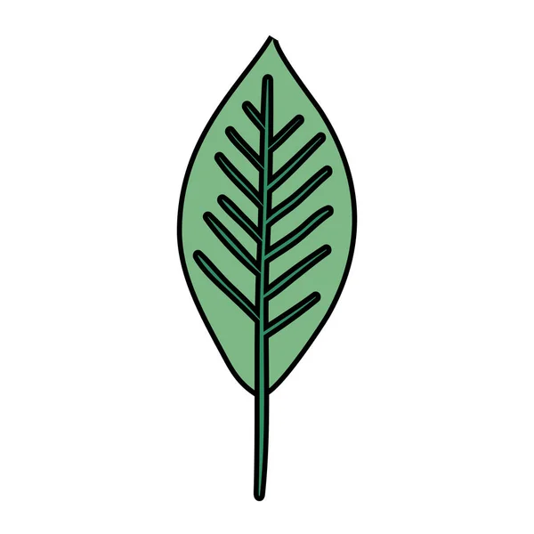 生態葉植物アイコン — ストックベクタ