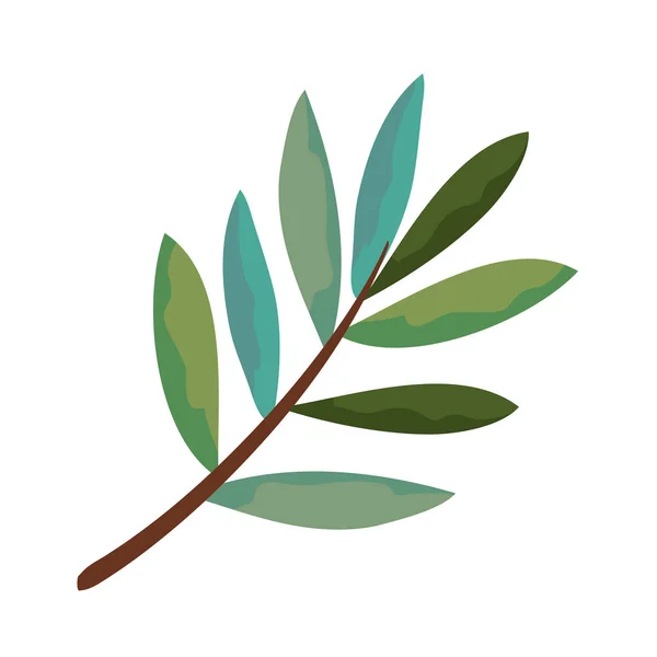 Ág leafs ikon — Stock Vector