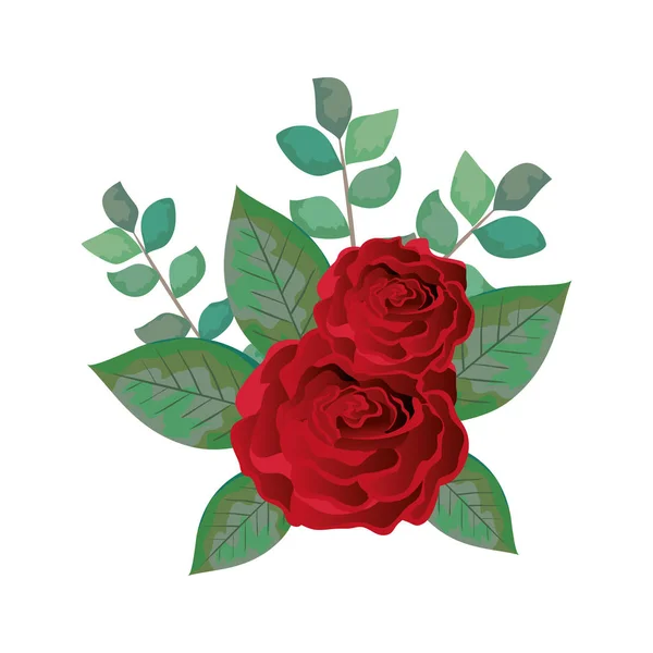 Pictogram van de decoratie van de mooie rosebush — Stockvector