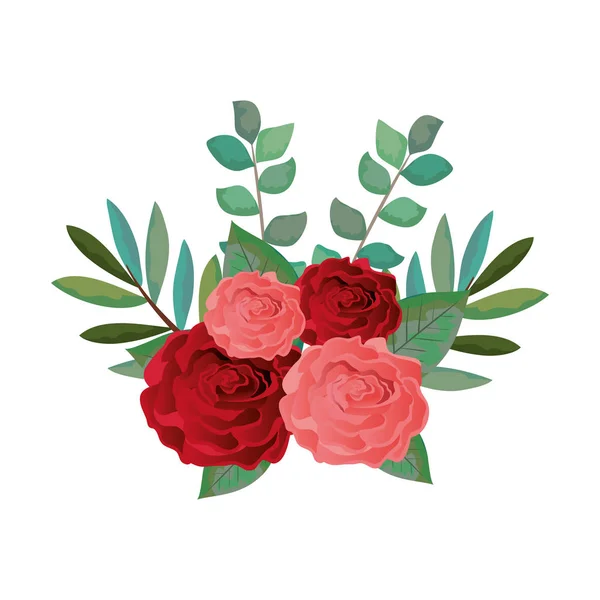 Pictogram van de decoratie van de mooie rosebush — Stockvector