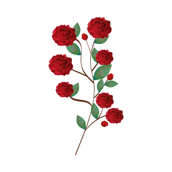 Красивые цветы и листочки украшения — стоковый вектор