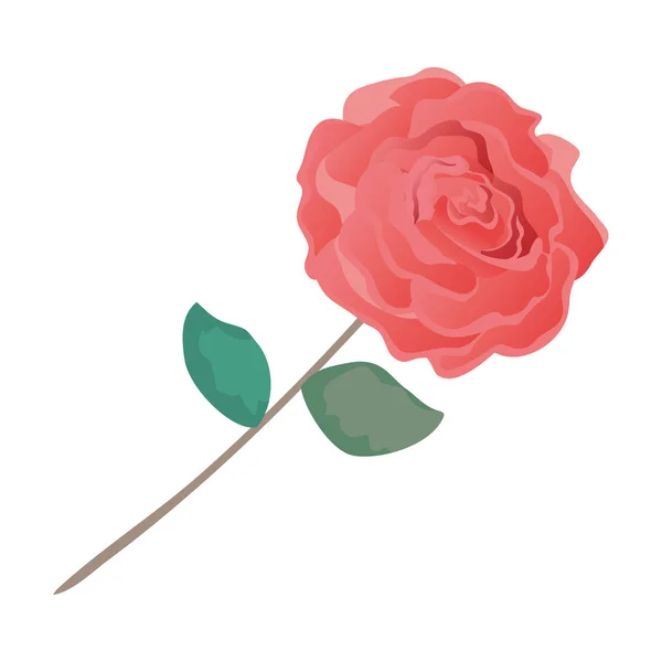 Ομορφιά τριαντάφυλλο με φύλλα — Διανυσματικό Αρχείο
