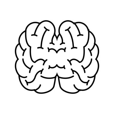 Üstten Görünüm insan beyni