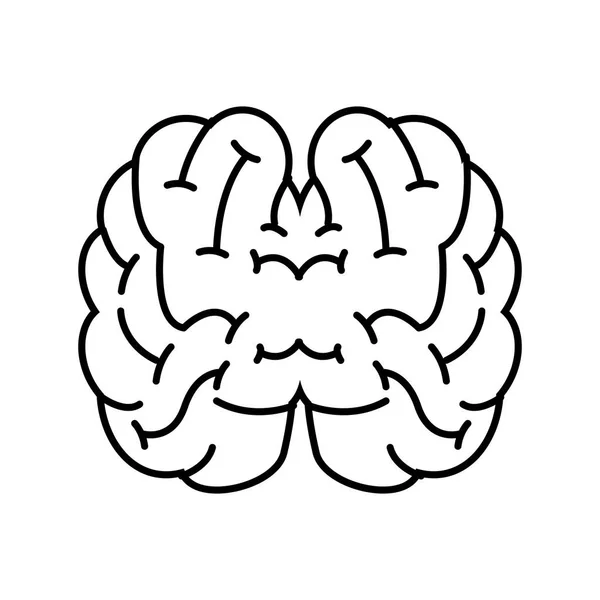 Vista superior cerebro humano — Vector de stock