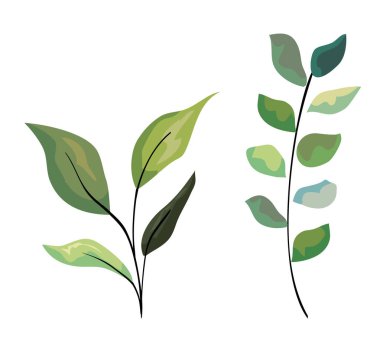 egzotik dalları yaprakları bitkiler tasarım ayarla