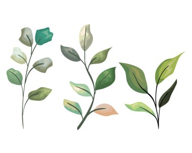 tropikal dalları yaprakları bitkiler stilini ayarlama