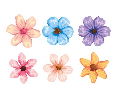 tropik çiçekler bitkiler egzotik yaprakları ile ayarla