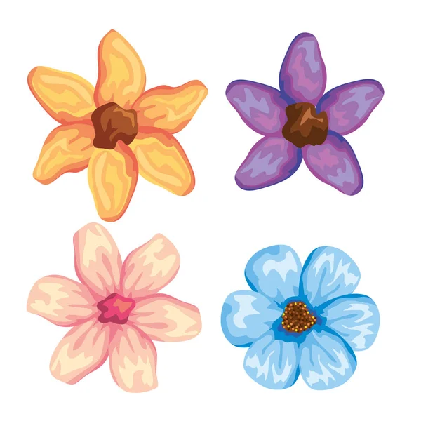 Set exotische Blumen Blütenblätter Stil — Stockvektor