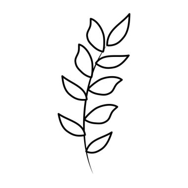 Yapraklı ağaç dalı.