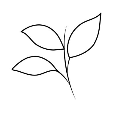 Yapraklı ağaç dalı.