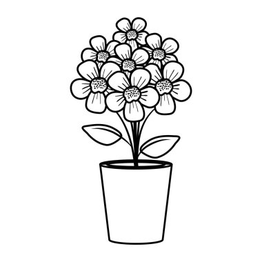 toprak kap içinde çiçek dekorasyon