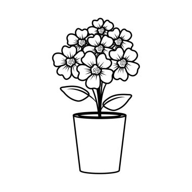 toprak kap içinde çiçek dekorasyon