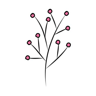 tohumlar bitki ile şube